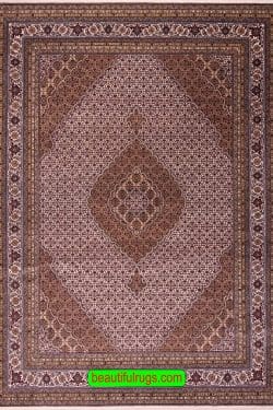 Traditional Living Room Rug, Medallion Rug, Rug from India, size 9x12.3