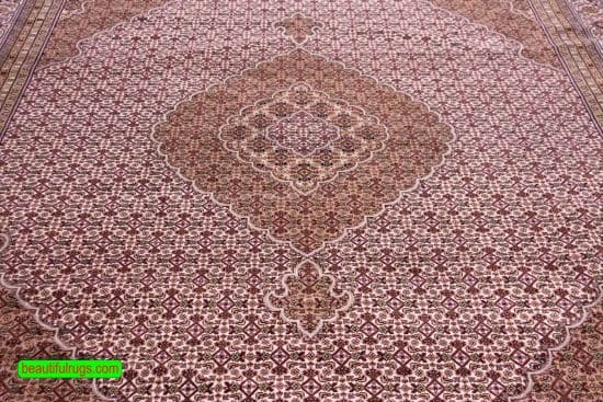 Traditional Living Room Rug, Medallion Rug, Rug from India, size 9x12.3