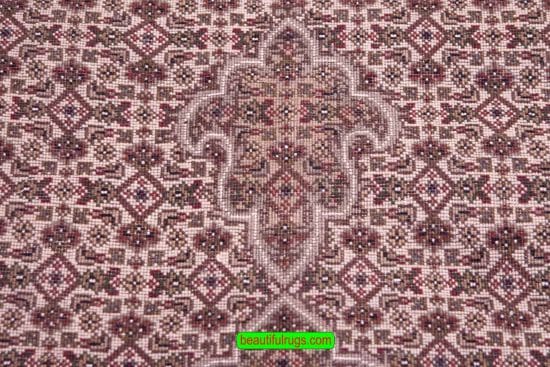 Traditional Living Room Rug, Medallion Rug, Rug from India, size 9x12.3