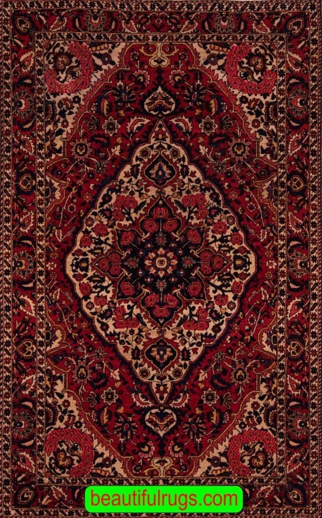 Vintage Iranian Bakhtiari Carpet, Carpet of Iran. Size 4.5x6.10