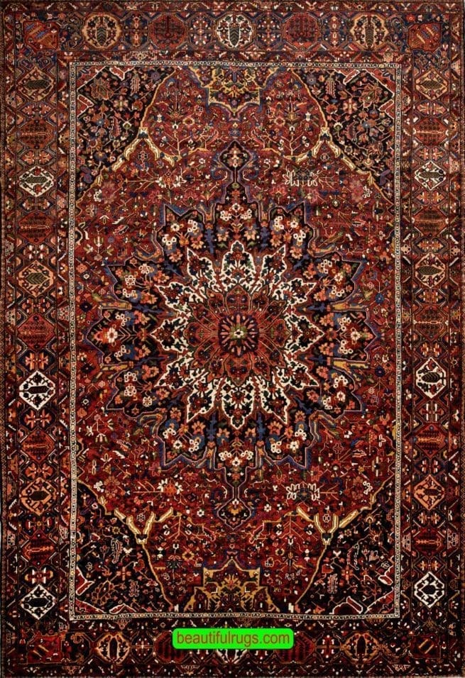Bibi Baft Rug, Vintage Persian Bakhtiari Rug, Hand Knotted Persian Rug