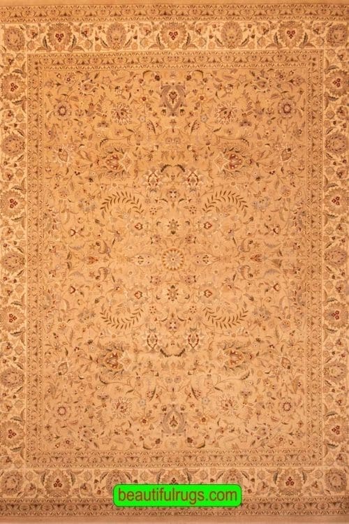 Hand Knotted Rug, Transitional Style Oriental Rug, Earth Tone Color Rug