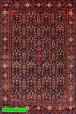 Antique Northwest Rug, Persian Zanjan Rug, Vegetable Dyed Rug