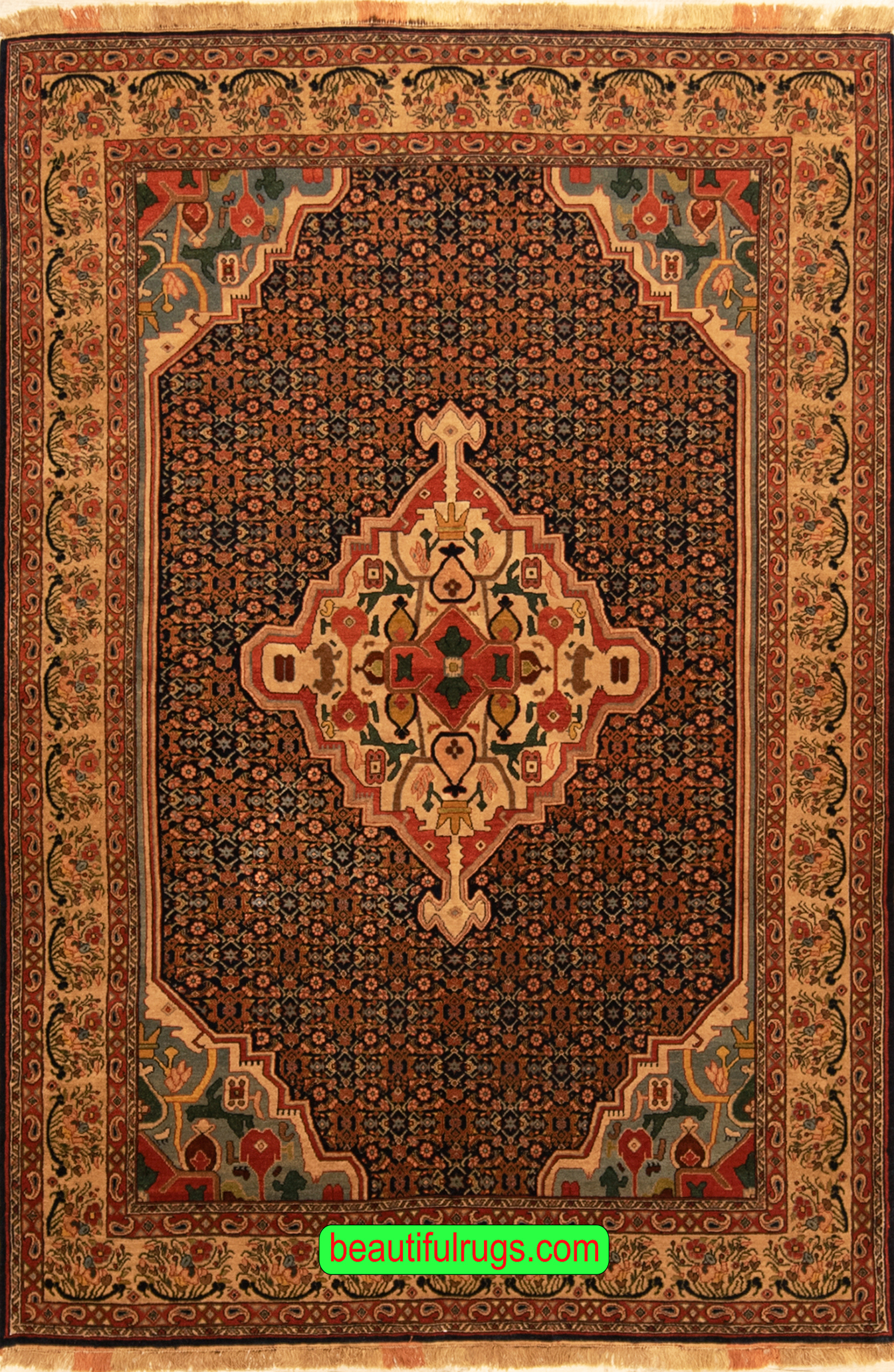 Handmade Persian Senneh Rug, Vegetable Dyed Traditional Style Rug