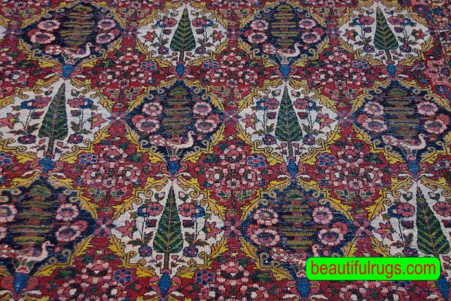 Old Persian Bakhtiari rug in red color, garden design with pine tree. Size 10.2x13.5