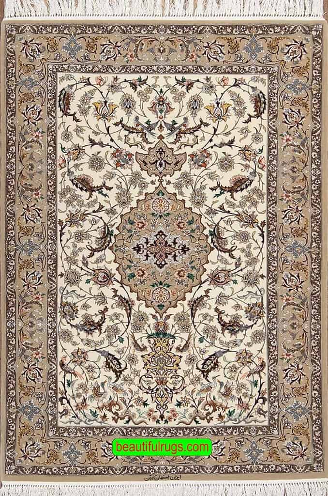 3 3 x 5 3 area rug