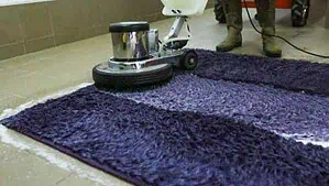 Blue shag rug is getting washed by a rug cleaning expert