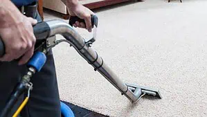A carpet cleaner is steam cleaning a carpet 