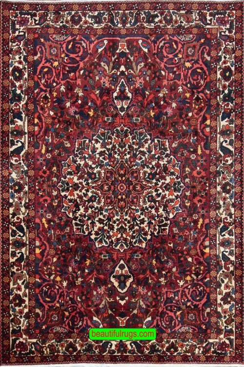 Handmade Persian Bakhtiari wool rug for living room. Size 6.9x10.
