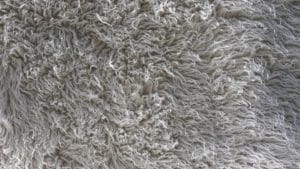 Sample of a shag rug in gray color with long and fluffy pile.