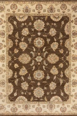 Hand knotted wool transitional area rug with taupe and earth tone colors. Size 8x10.3.