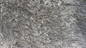 Sample of a shag rug in gray color with long and fluffy pile.