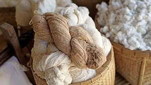 Samples of silk fibers in white and brown colors placed in baskets. Samples of silk fibers in white and brown colors placed in baskets.