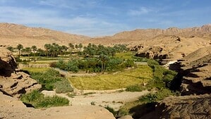 An image of the East of Iran, landscape with trees and mountains An image of the East of Iran, landscape with trees and mountains