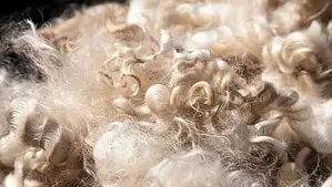 illustration of earth tone color wool skein.