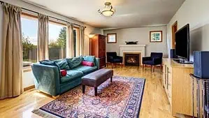 Large and sunny living room with television and green sofa and a Persian rug Large and sunny living room with television and green sofa and a Persian rug