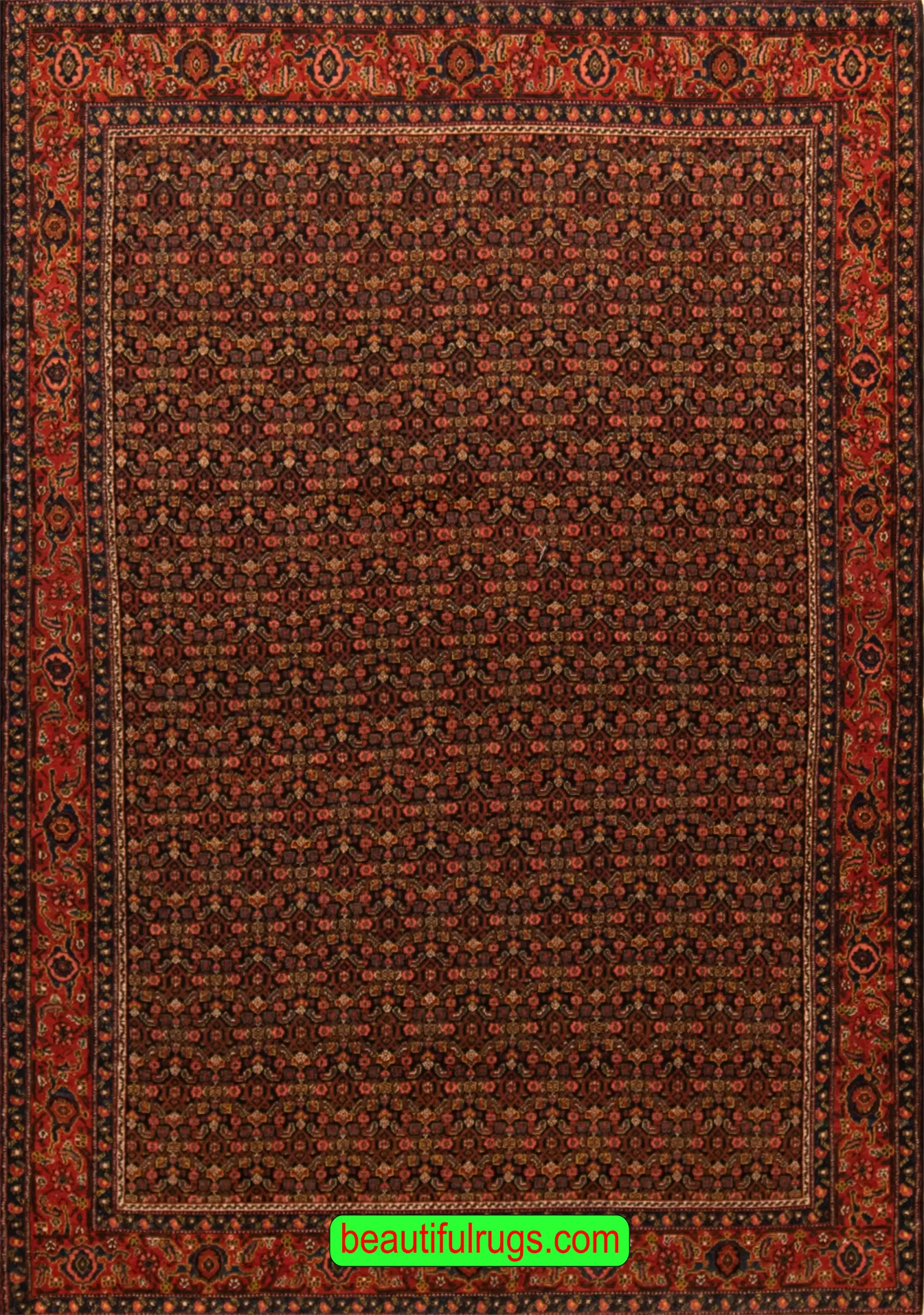 Handmade Persian Rug, Vegetable Dyed Antique Persian Senneh Rug